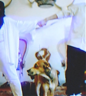0005.jpg