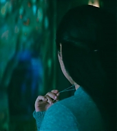 2906.jpg
